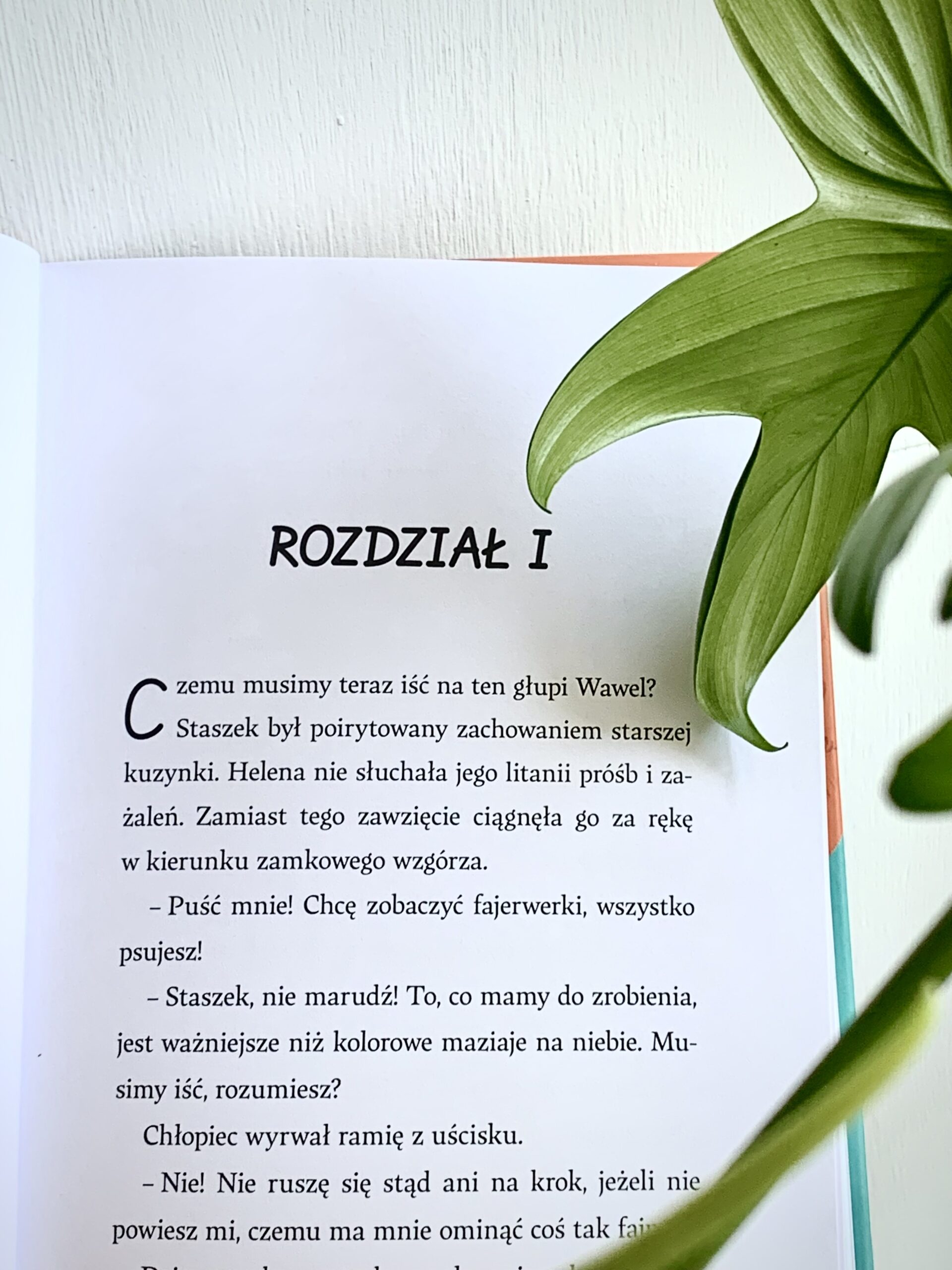 SOS - Stowarzyszenie Obrońców Smoków - recenzja - Ola Bylica - Anna Nowacka - Wydawnictwo Kropka