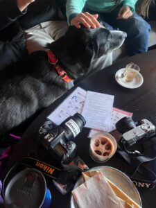 cafe huskies - svalbard - co robić na svalnbardzie - atrakcje svalbard
